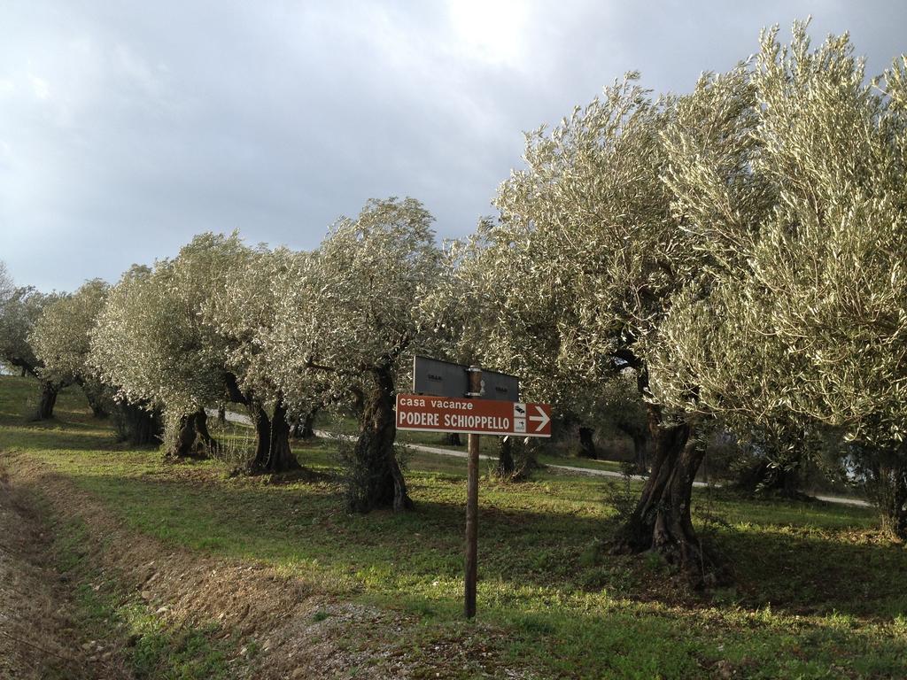 Podere Schioppello Casale Con Appartamenti Privati Cibottola 部屋 写真