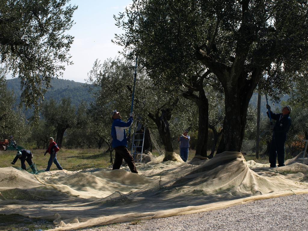 Podere Schioppello Casale Con Appartamenti Privati Cibottola エクステリア 写真