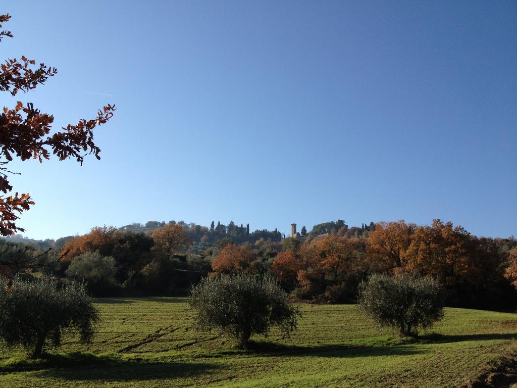 Podere Schioppello Casale Con Appartamenti Privati Cibottola エクステリア 写真