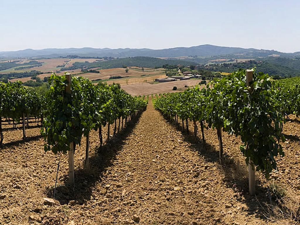 Podere Schioppello Casale Con Appartamenti Privati Cibottola エクステリア 写真